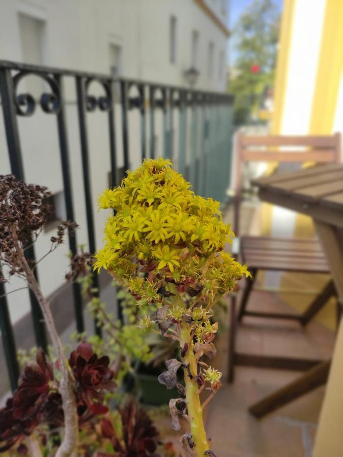 Apartmán Vive Triana Sevilla Exteriér fotografie