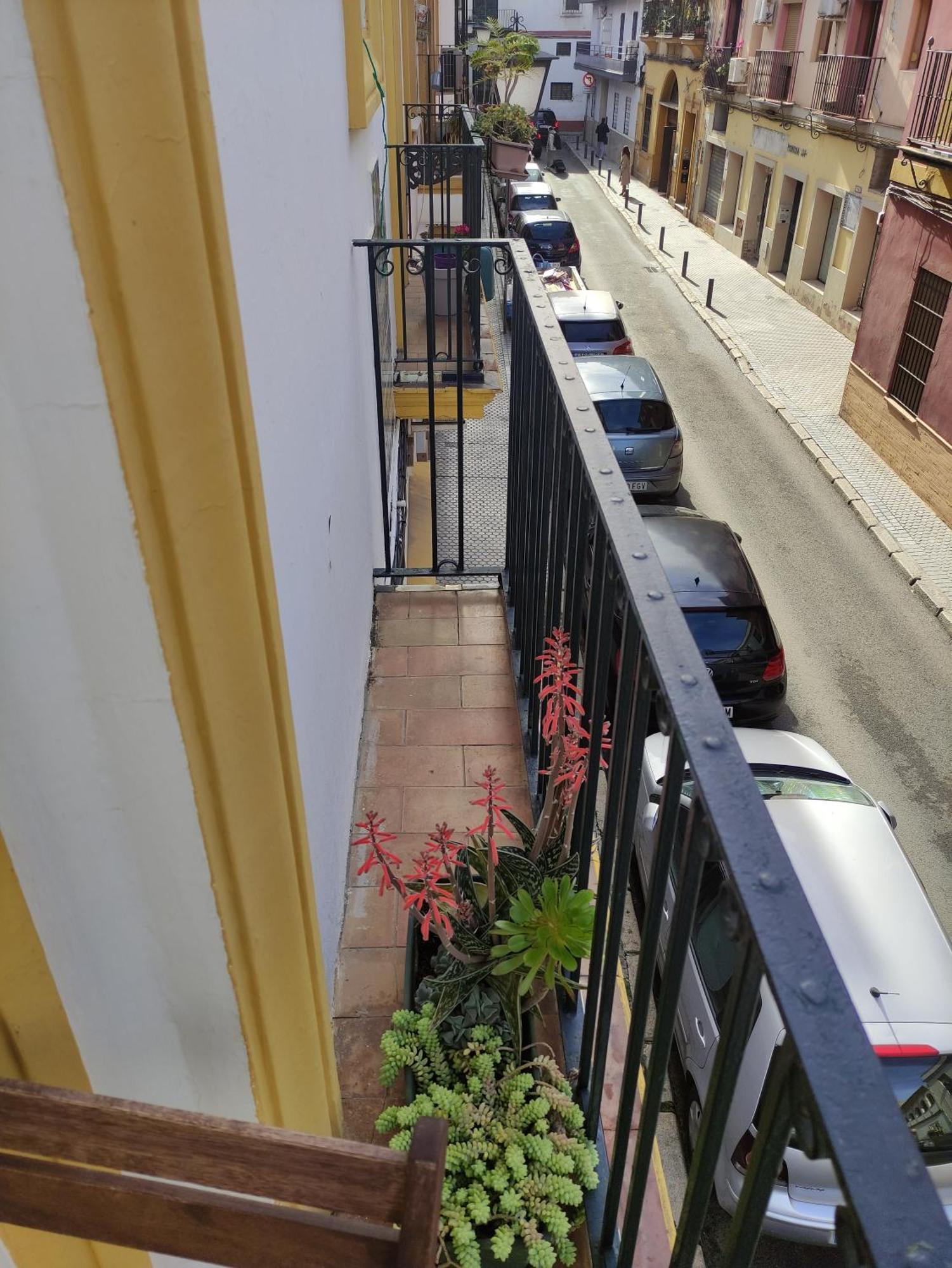 Apartmán Vive Triana Sevilla Exteriér fotografie